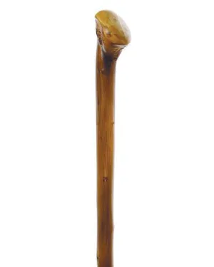 Appalachian Chestnut Hiking Stick